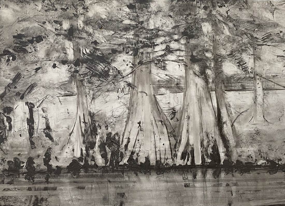 Cypress in the Breeze drawing by Steve Bradbury