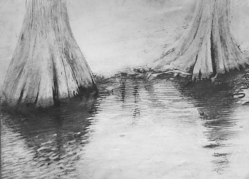 Cypress