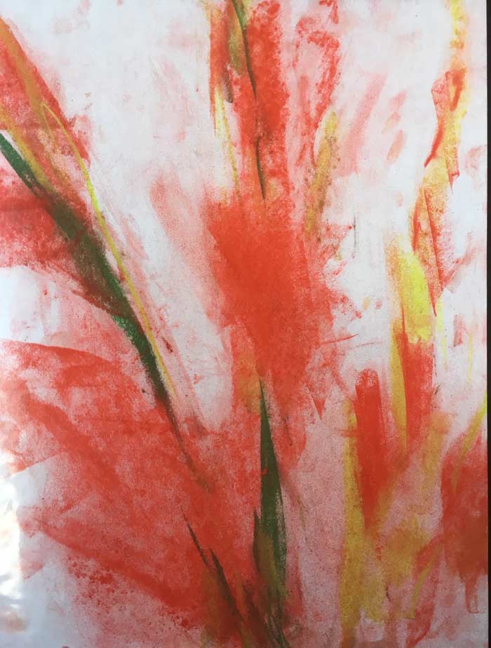 gladiolus by Steve Bradbury