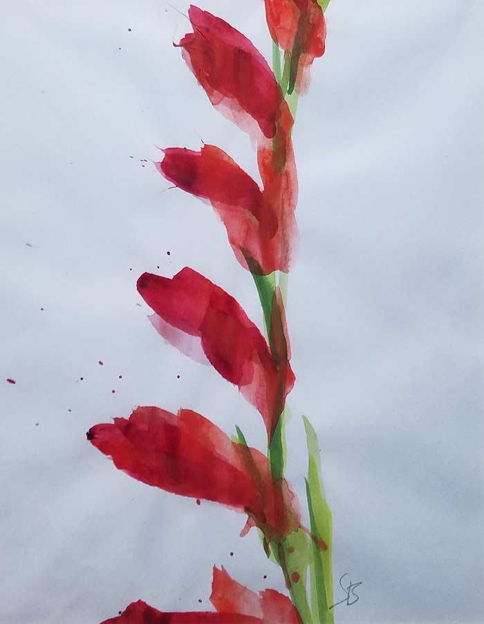 orchid 2 by Steve Bradbury