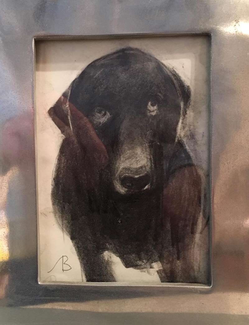 dog 1 by Steve Bradbury