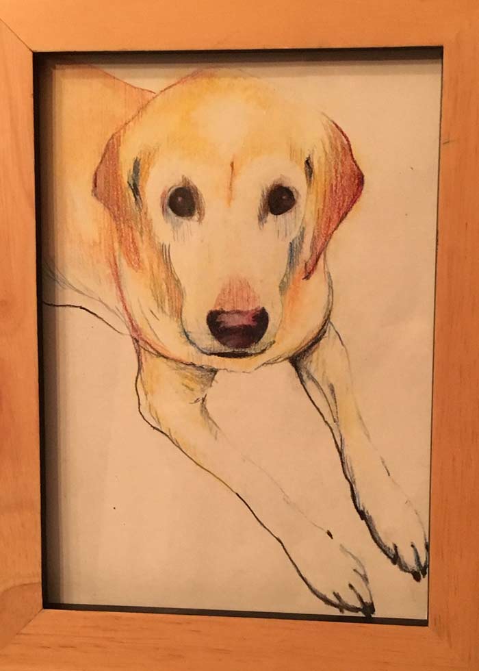 dog 3 by Steve Bradbury