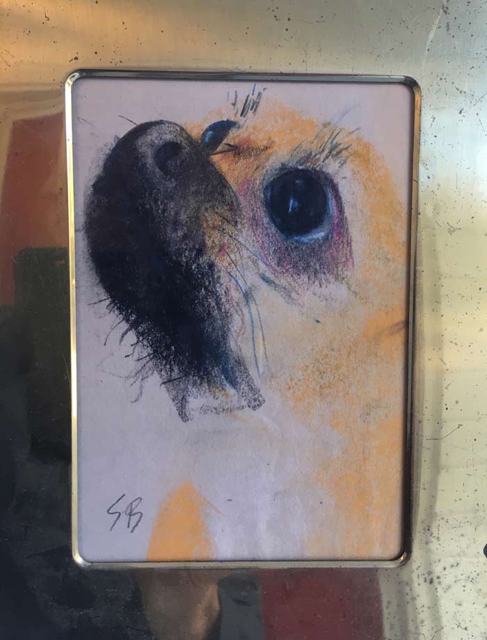 dog 4 by Steve Bradbury