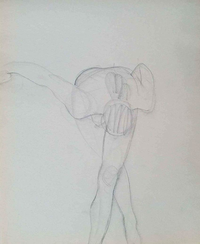 Lorena, Take a Bow! - drawing by Steve Bradbury