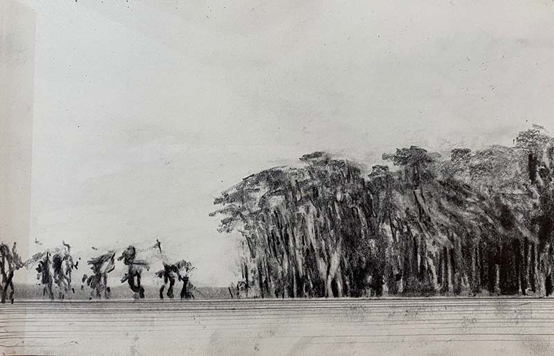 Cypress on Melrose Bay drawing by Steve Bradbury