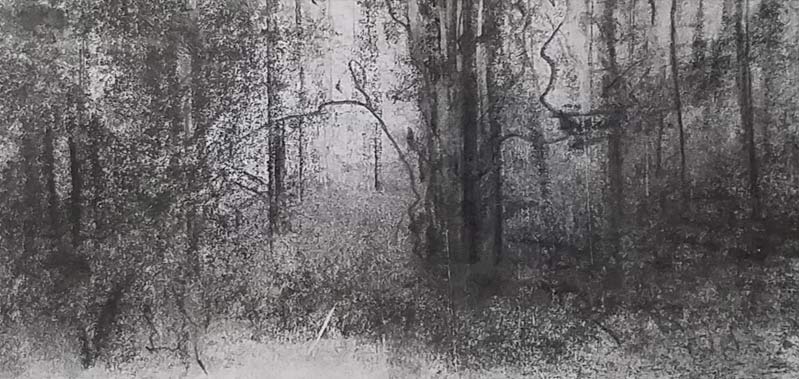 picture 1